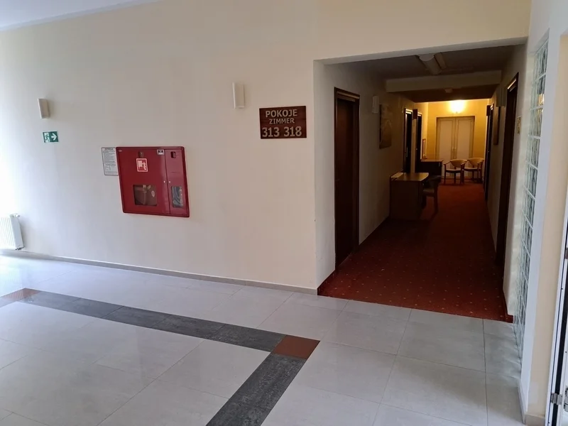 5 2prezentacje grup.